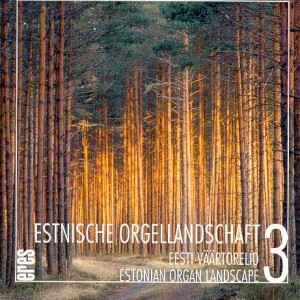 estnische-orgell3